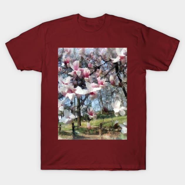 Spring - Magnolia Closeup by Fence T-Shirt by SusanSavad